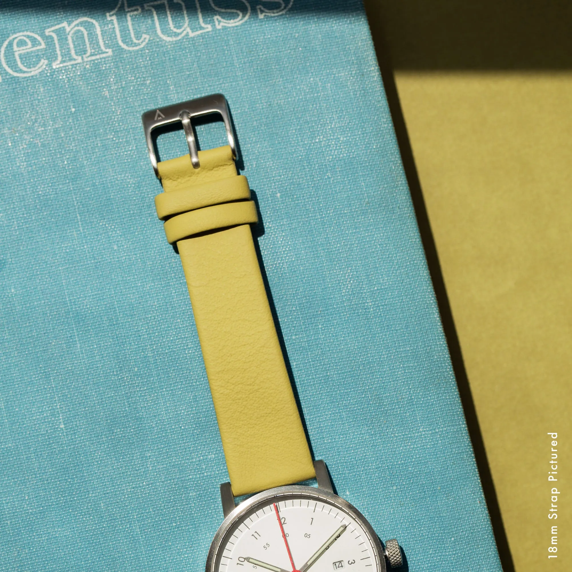22mm Strap: SL22-SP/SI