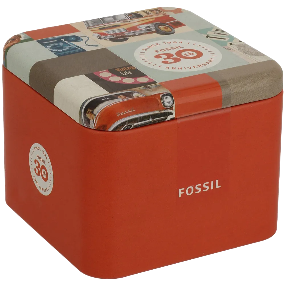 Fossil Women's ES3204 Riley Silver and Gold Tone Watch