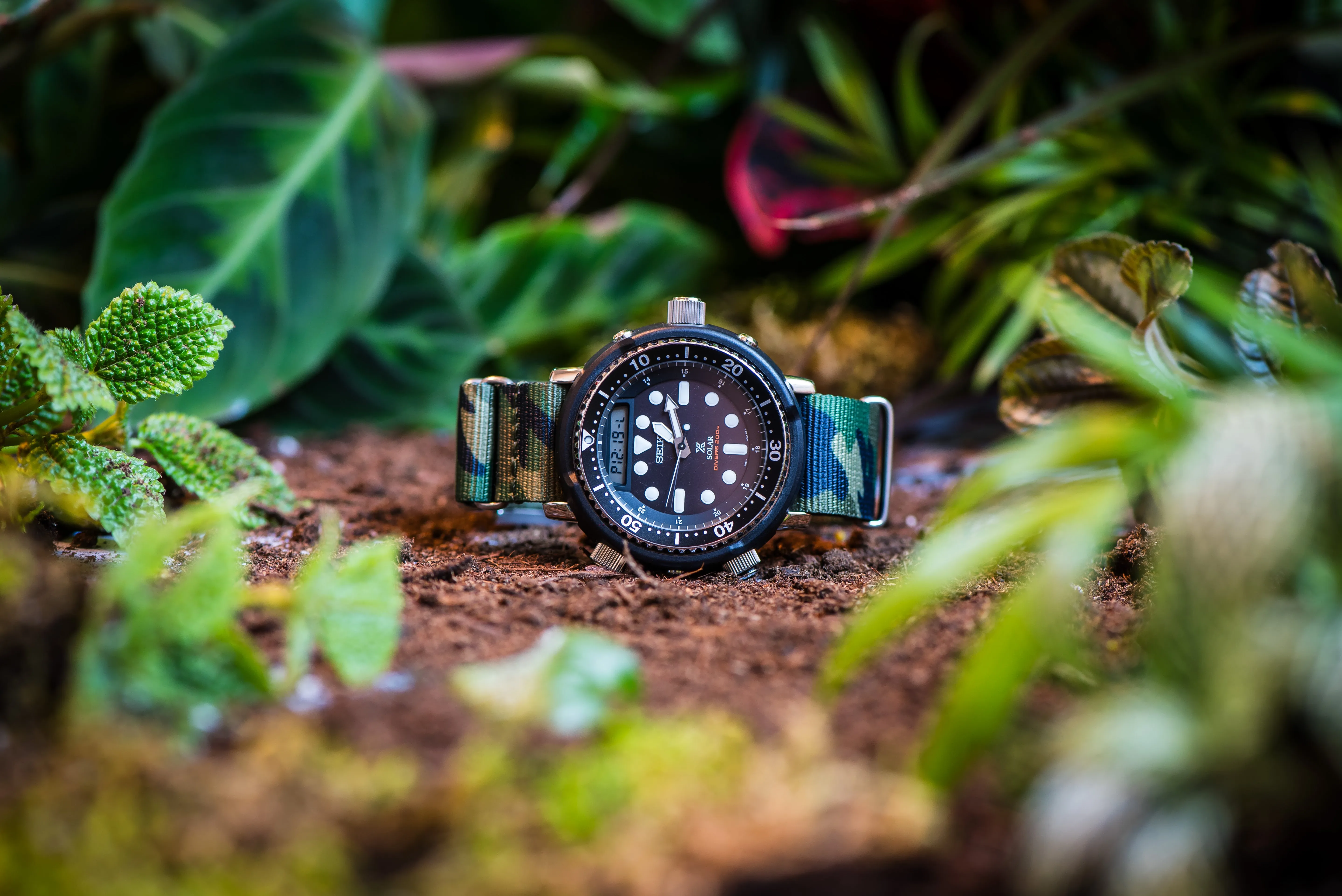 Original - Camo Jungle