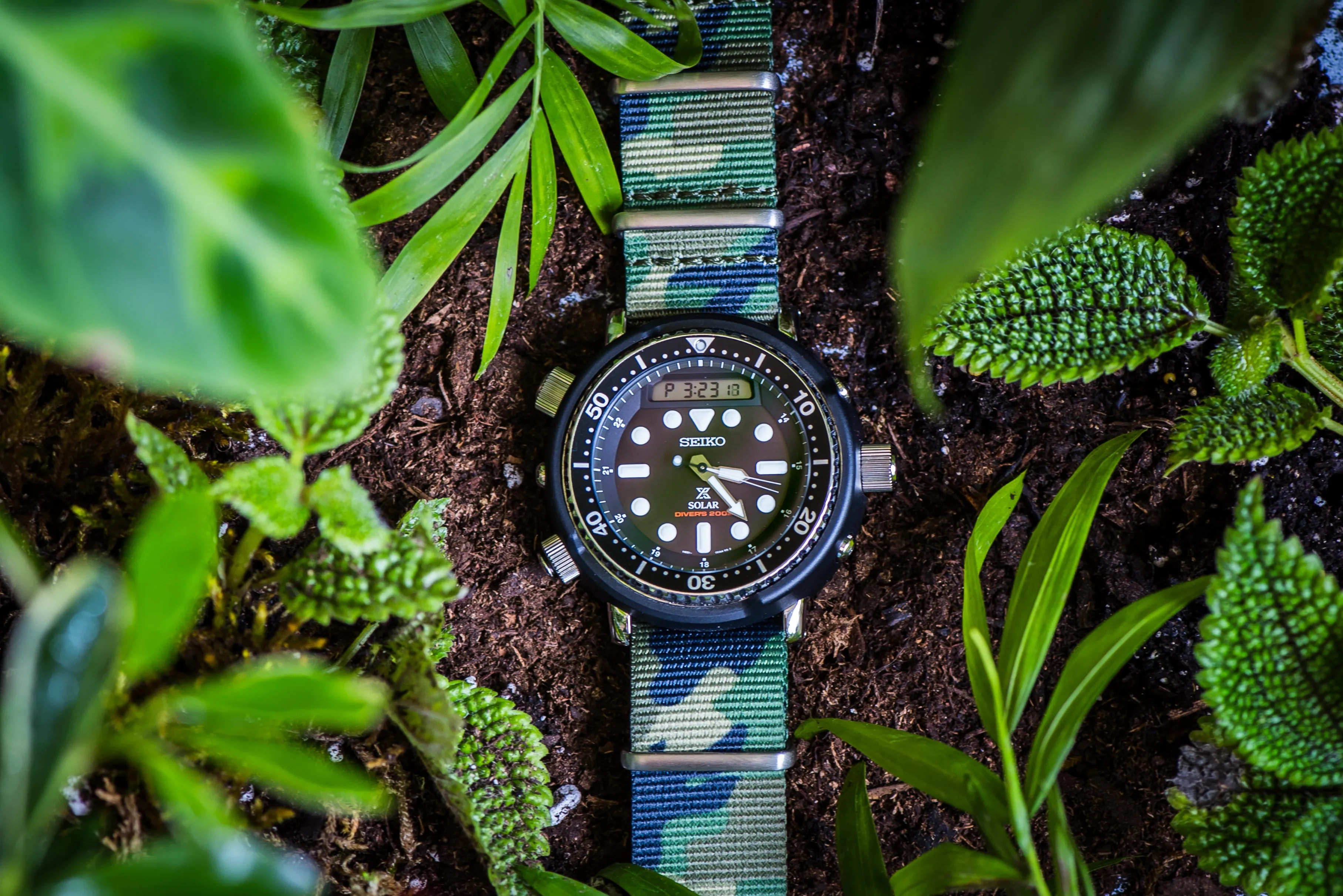Original - Camo Jungle