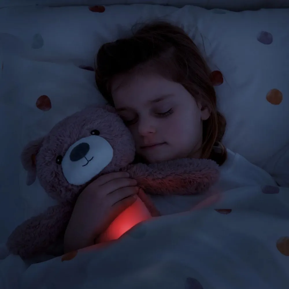 Zazu - Brody the Bear Sleeptrainer